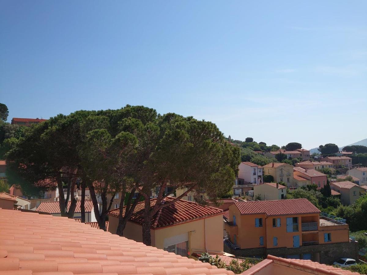 4Ro501 Appartement Avec Belle Terrasse 科利尤尔 外观 照片